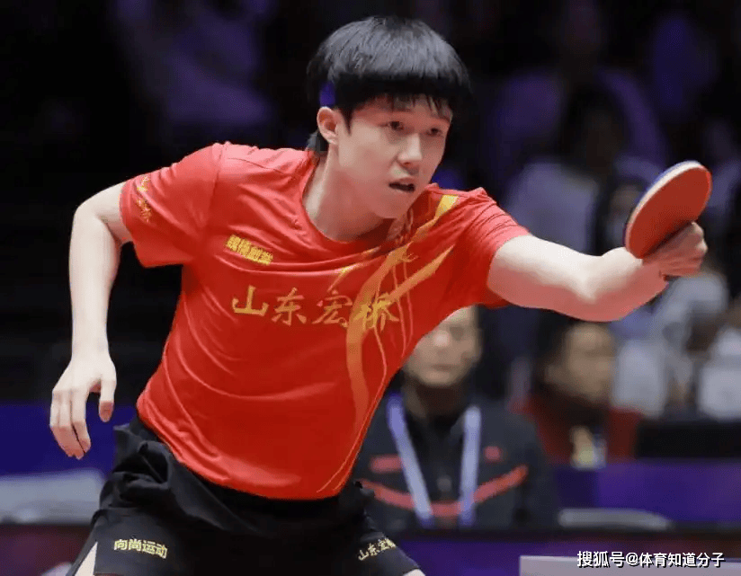 引发了球迷 引发了球迷