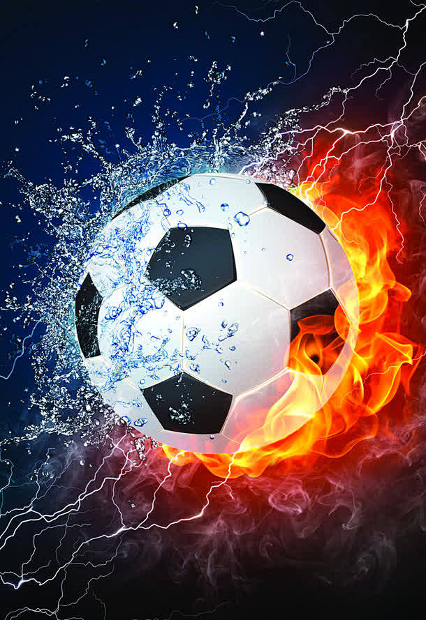 场地将选用 场地将选用